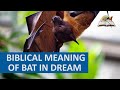 Biblical Meaning of BATS in Dream - Bats Dream Meaning