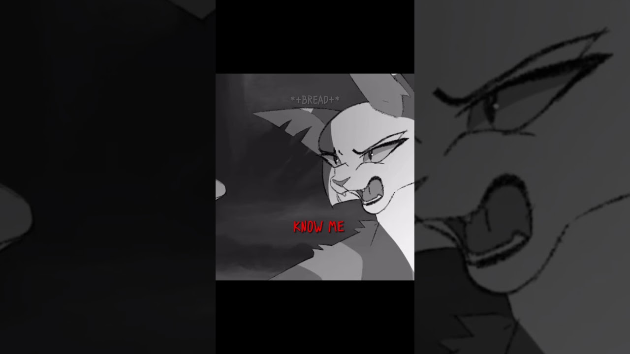 //Ivypool and Dovewing edit//🍞//Credits in desc!//