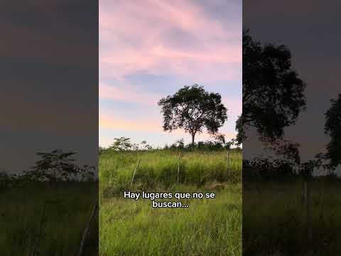 🌴 Te Ayudamos a Encontrar Tu Lugar en la Naturaleza. Entre Olon y Manglaralto.
