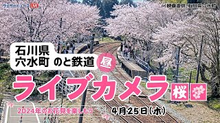 【LIVE】🌸能登さくら駅🌸 桜ライブカメラ ＜石川県穴水町 のと鉄道／能登鹿島駅周辺＞2024年4月25日(木)