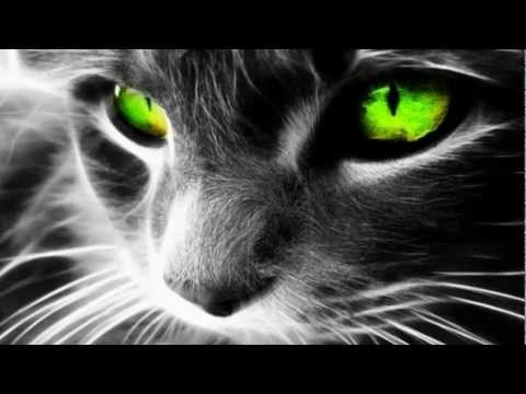 Baracuda - I Will Love Again (Danny Rush Remix)