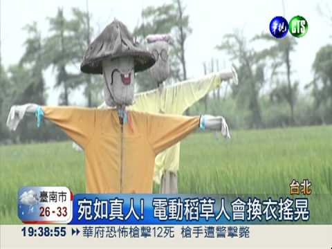 農民新招數! 電動趕鳥更勝稻草人
