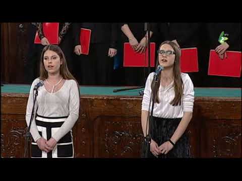 NAKOŠENI MARADIKI - Tamara EMEDI i Katarina  ŽIVKOVIĆ