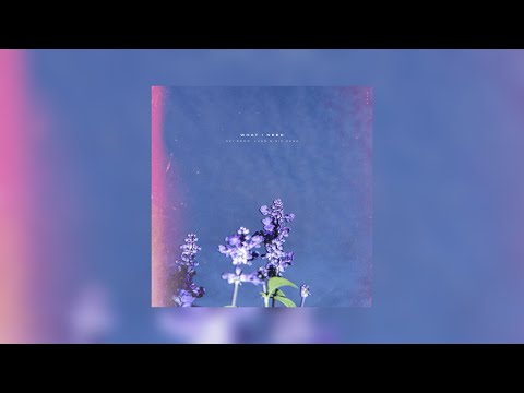 Avi Snow, LVAN, Sif Saga - What I Need