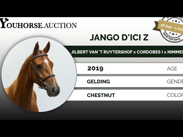 Jango d'Ici Z trainingsvideo