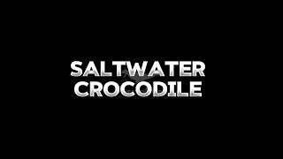Download lagu Saltwater Crocodile Edit #Edit #crocodile #prehistoricanimal mp3 Download lagu Saltwater Crocodile Edit #Edit #crocodile #prehistoricanimal mp3