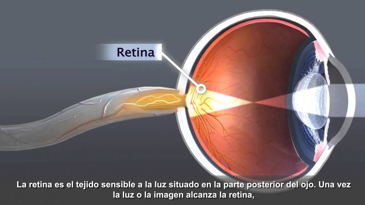 Raúl Pineda Gaona-23