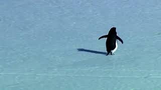 Clint Mansell - Waves Crashing on Distant Shores of Time