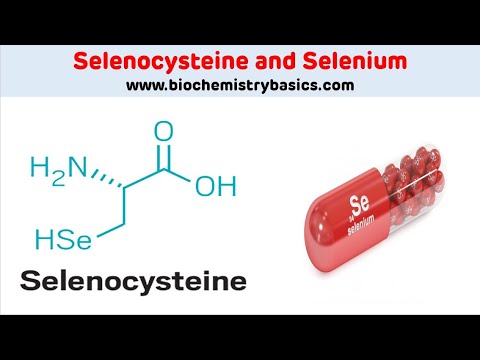 Selenium and Selenocysteine | Selenium Biochemistry