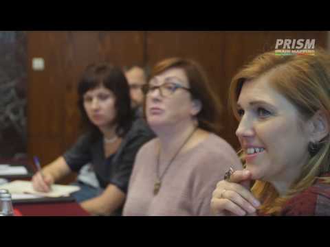 Prism Brain Mapping Russia