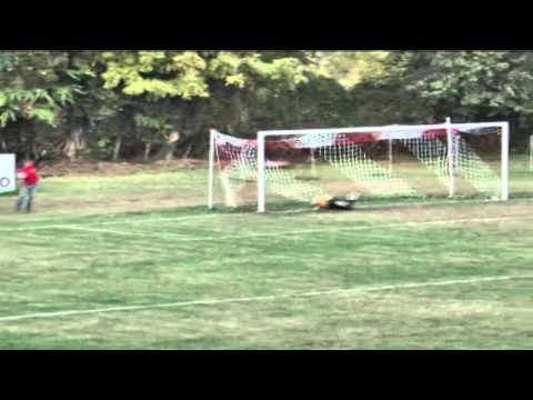 ONDA TG 15.11.2014 - CALCIO   PRESENTAZIONI GARE SULMONA E OVIDIANA