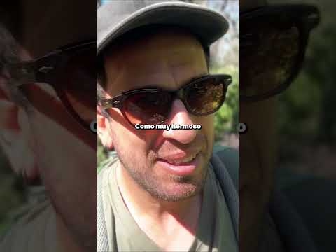 Quebrada de Villa Elena, sendero al Chorro Grande en Cortaderas