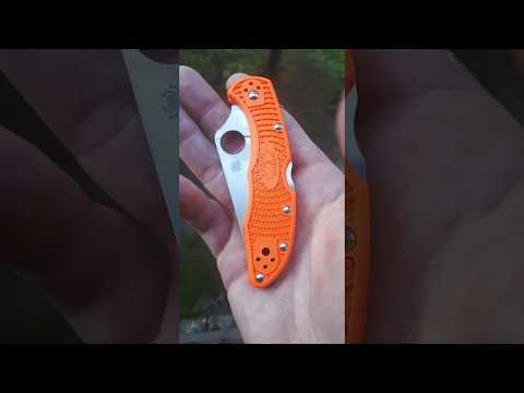 Spyderco Delica Stainless C11PS Knife Review | OsoGrandeKnives
