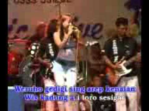 Reni Ferida  loro sesigar