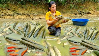 Harvesting Giant Pond Fish to Sell to the Market - Cooking the Fish and Enjoying Meals Alone