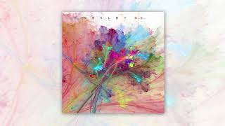 Wesley G.C. - Cold In The Summer (Audio)