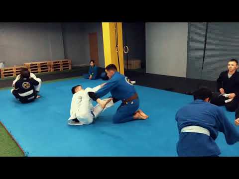 Brazilian jiu jitsu