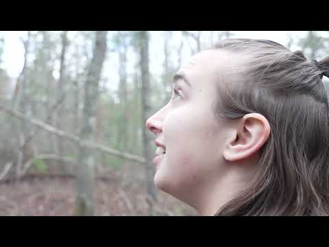 Passing Through - A Music Video