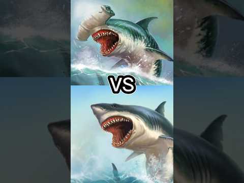 ホオジロザメ VS シュモクザメ、ノコギリザメ、ヨシキリザメ、最も危険なサメ