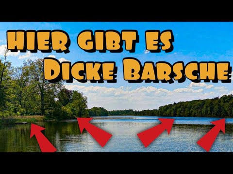 ! Barschangeln ! ... mit Chatterbait große Barsche suchen !!!