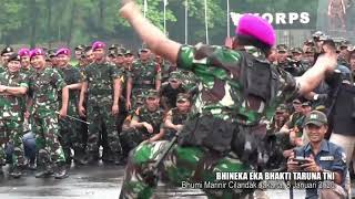Download lagu Yel Yel Keren Korps Marinir untuk Kadet AAL mp3