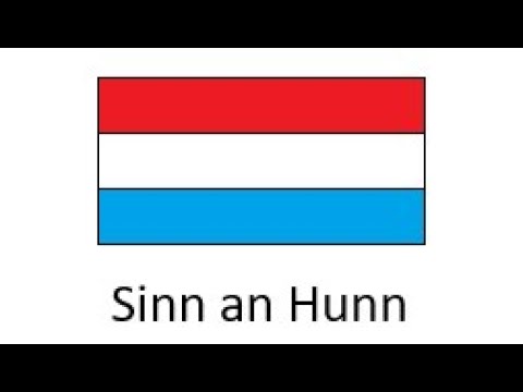 Luxembourgish Beginner : Verb Conjugation of "Sinn" (to be) and "Hunn" (to have)