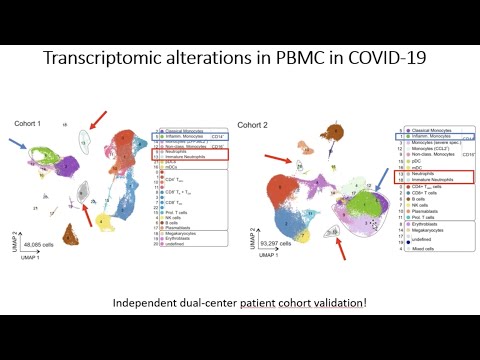 SCOG Virtual Lecture Series - Joachim L. Schultze (DZNE, Bonn)
