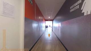 Miniature de la vidéo