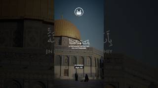 Download lagu Surah At-Tawbah Ayat 111 Soothing Quran Recitation by Saud Al Shuraim #qurandaily mp3 Download lagu Surah At-Tawbah Ayat 111 Soothing Quran Recitation by Saud Al Shuraim #qurandaily mp3