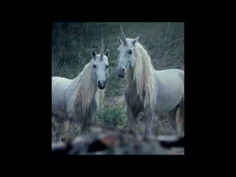 Right here - Lil peep (without horsehead)