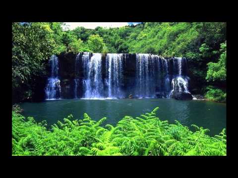 Markus Homm & Hermannstadt Collective - Midnight Fun [Original Mix]