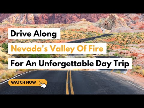 Here Are 13 Famous People From Nevada