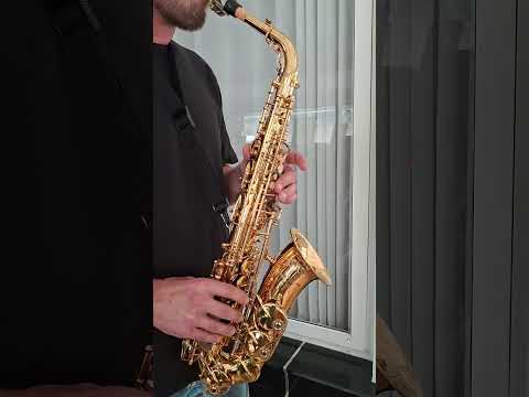 NO TARIFFS - Yanagisawa A-WO10 Alto Saxophone image 21