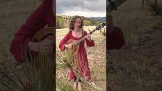 One of my all time favorite Celtic melodies #shorts #celtic #octavemandolin