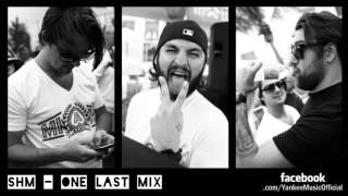 SWEDISH HOUSE MAFIA   ONE LAST MIX   2013