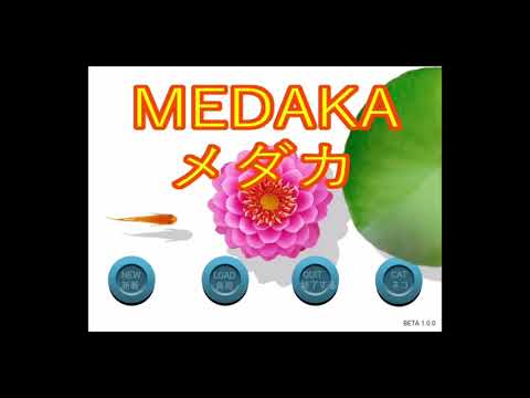 MEDAKA