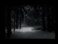 432 Hz 3hour Loop Ark Patrol Let Go Slowed Instrumental Snow Experience Sleep Rehabilitation