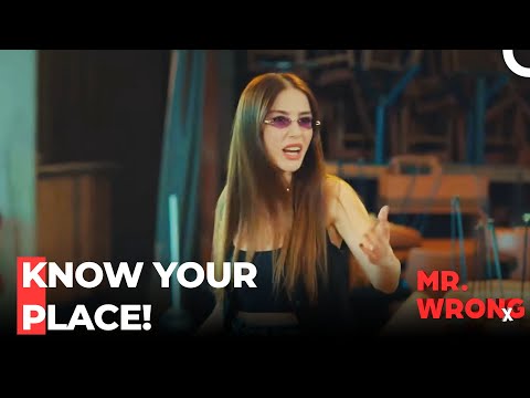 A Cat And Dog Fight - Mr. Wrong