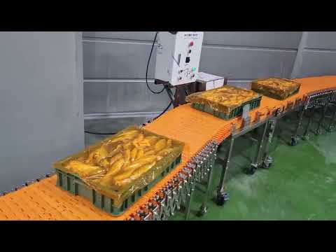 스네이크 컨베이어