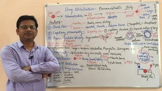 Pharmacokinetic (Part-02) Distribution of Drug | Drug Distribution | General Pharmacology | ADME