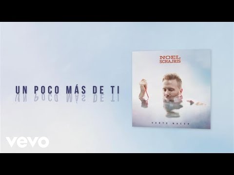 Noel Schajris - Un Poco Más de Ti (Cover Audio)