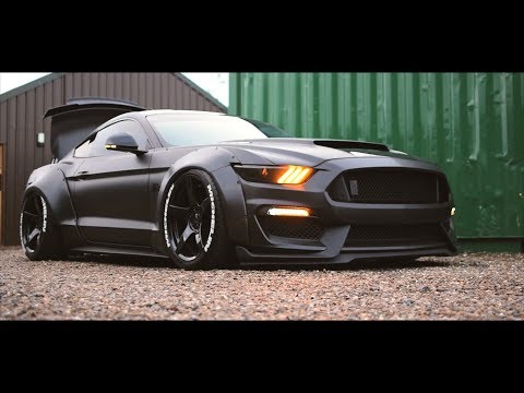 Black Mustang