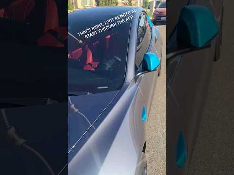 cars can get really hot in summer #tesla #automobile