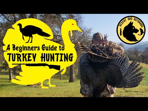 Beginner's Guide to Turkey Hunting