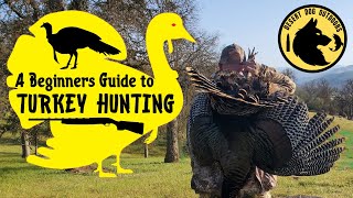 Beginner's Guide to Turkey Hunting