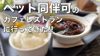 【しずくの日常】ペット同伴でカフェレストランに行ってきました。