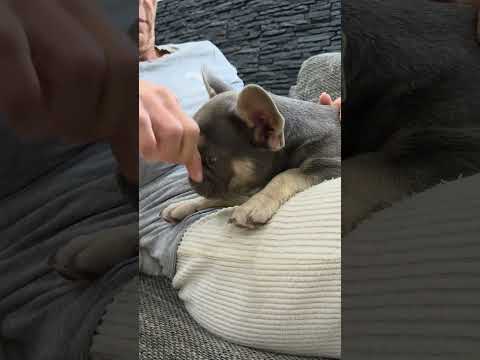 Video 1