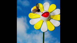 DAISY MURAKAMI YELLOW