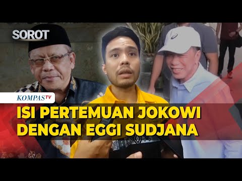 Ini Isi Pertemuan Jokowi dengan Eggi Sudjana dan Damai Hari Lubis