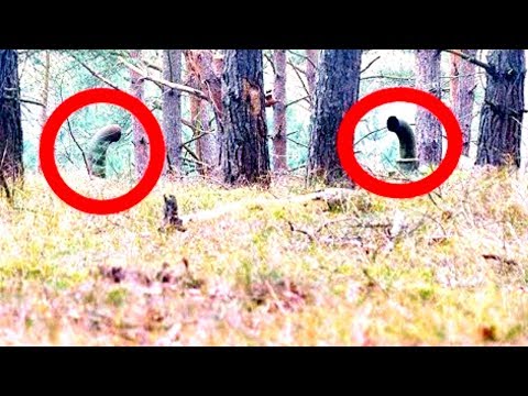 2 Männer finden merkwürdige Rohre im deutschen Wald, was darunter ist hätten sie nie erwartet!